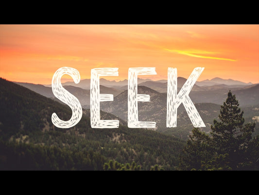 Seek