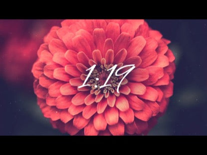 Mothers Day Pink Flowers Countdown 2