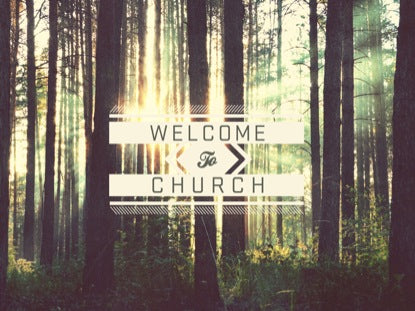Forest Welcome