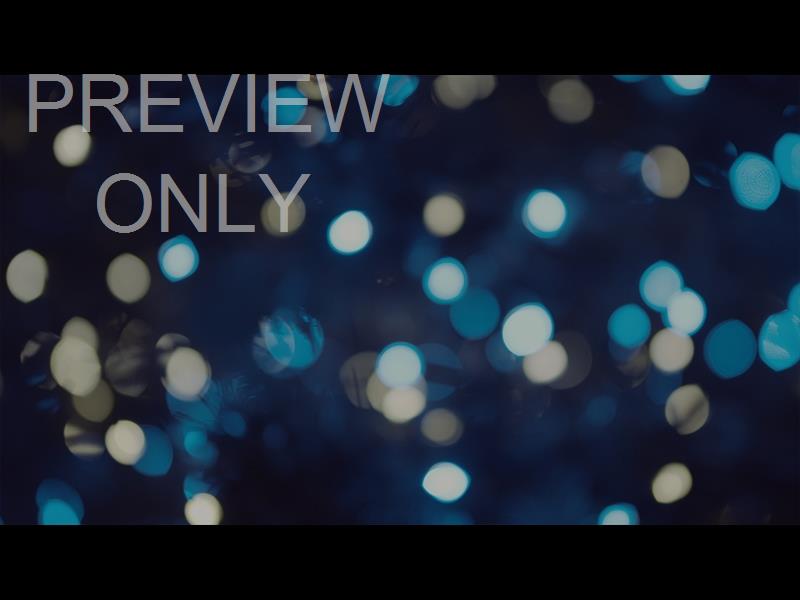 Christmas Lights: 03 Still