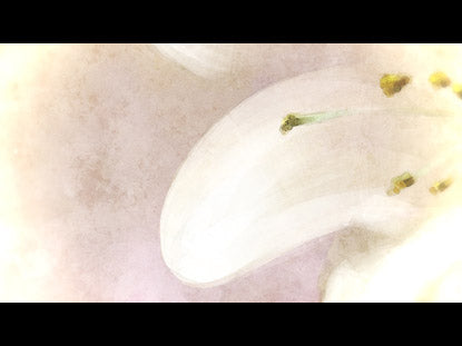 Maternal Eternal Still 1