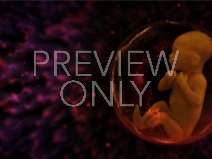 Sanctity Of Life Background Still