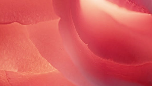 Flowers Of The Field Loops 02