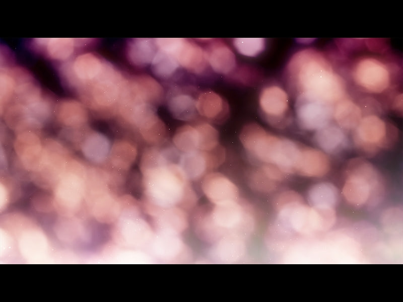 Christmas Light: 3