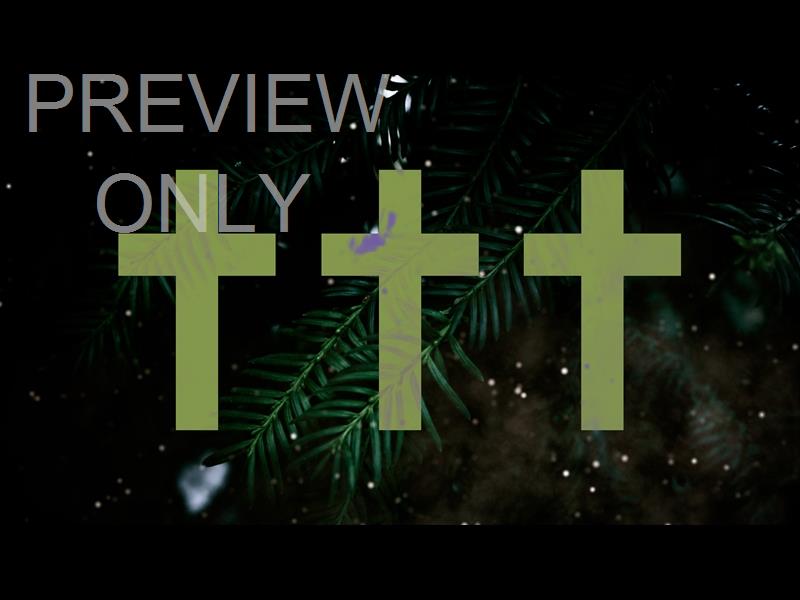 Evergreen Sermon Title 4