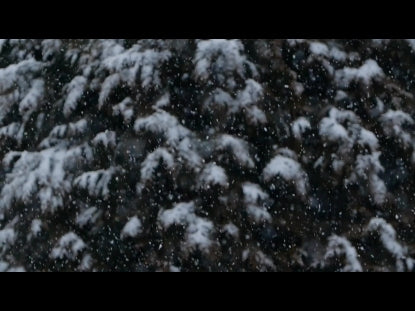 Snow Winter Background 28