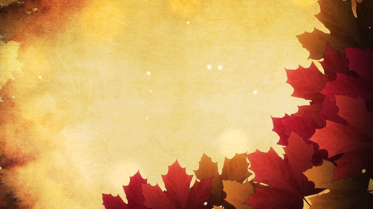 Autumn Leaves 01