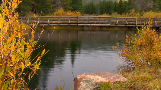 Autumn Bridge