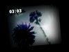 Palm Tree Countdown