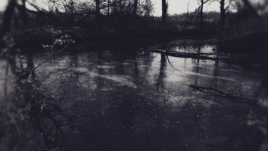 Bleak Beauty Frozen Still