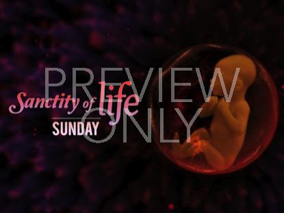 Sanctity Of Life Still