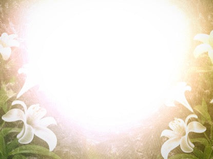 Easter Lilies Motion 2