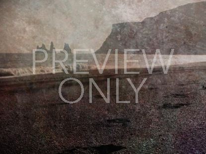 Beach Footprints Brown