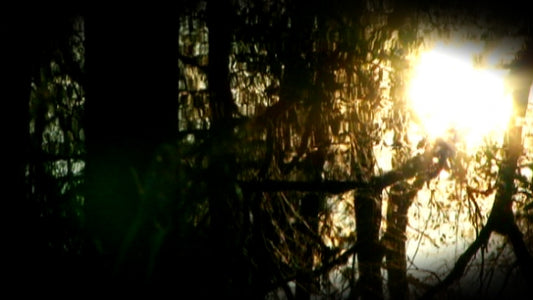 Sunlight Reflection