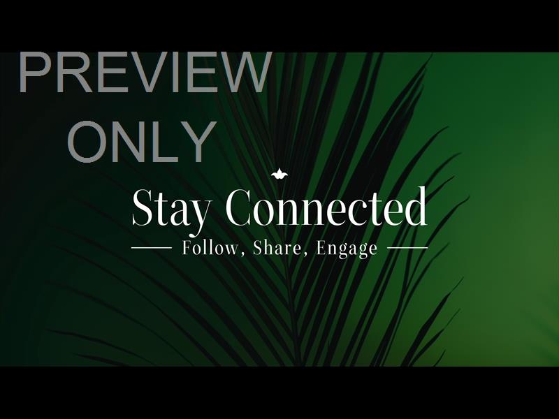 Cinematic Palms Stay Connected Still