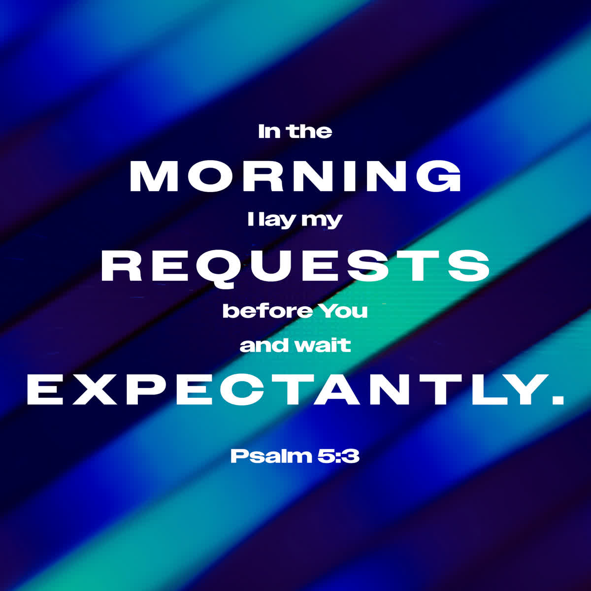 New Vision Scripture