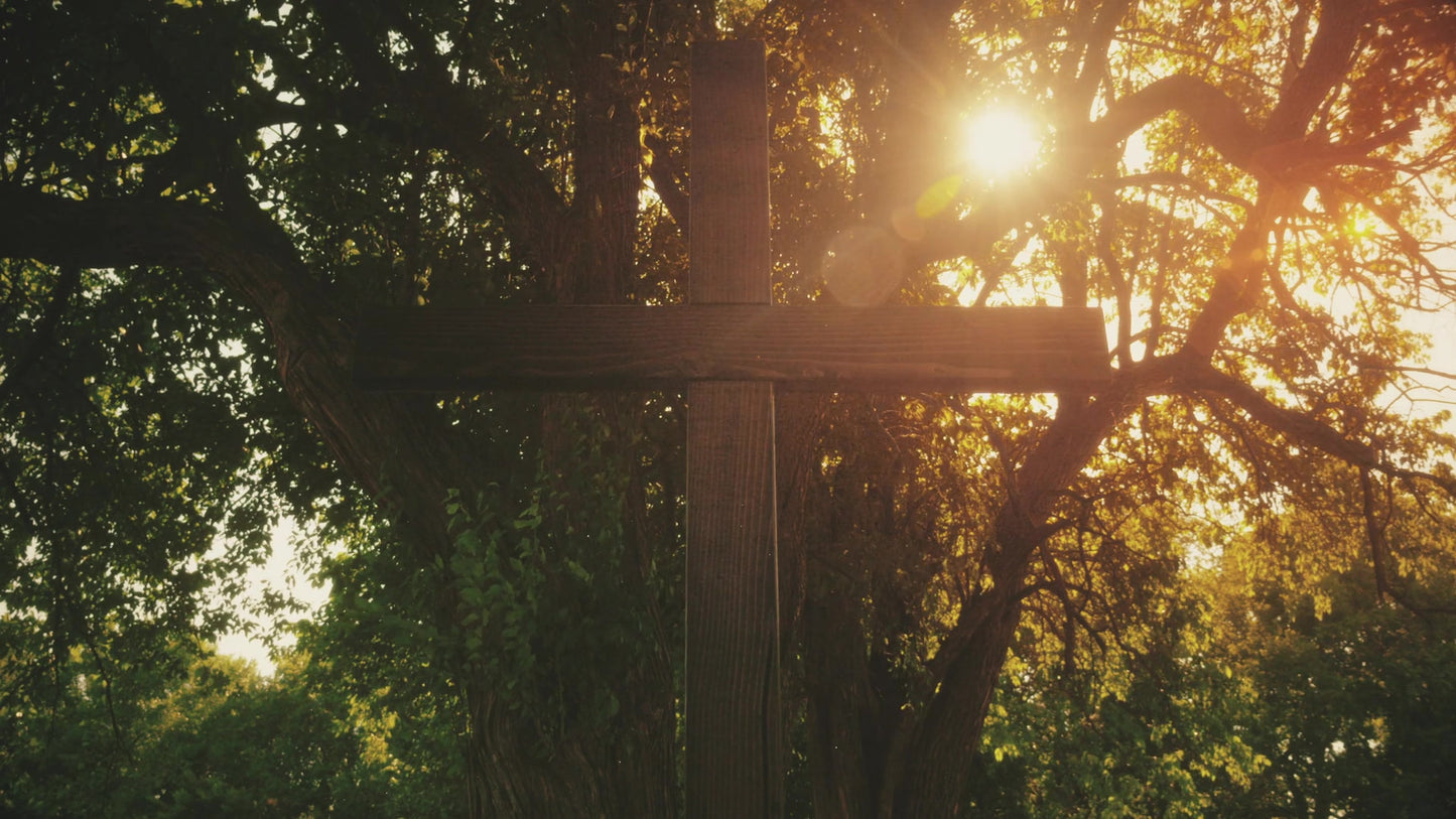 Cross 13 Still