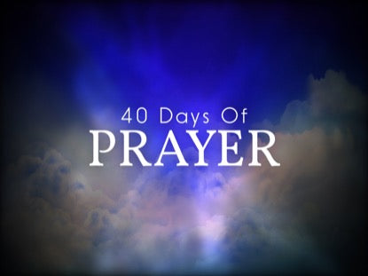 Comforting Spirit 40 Motion