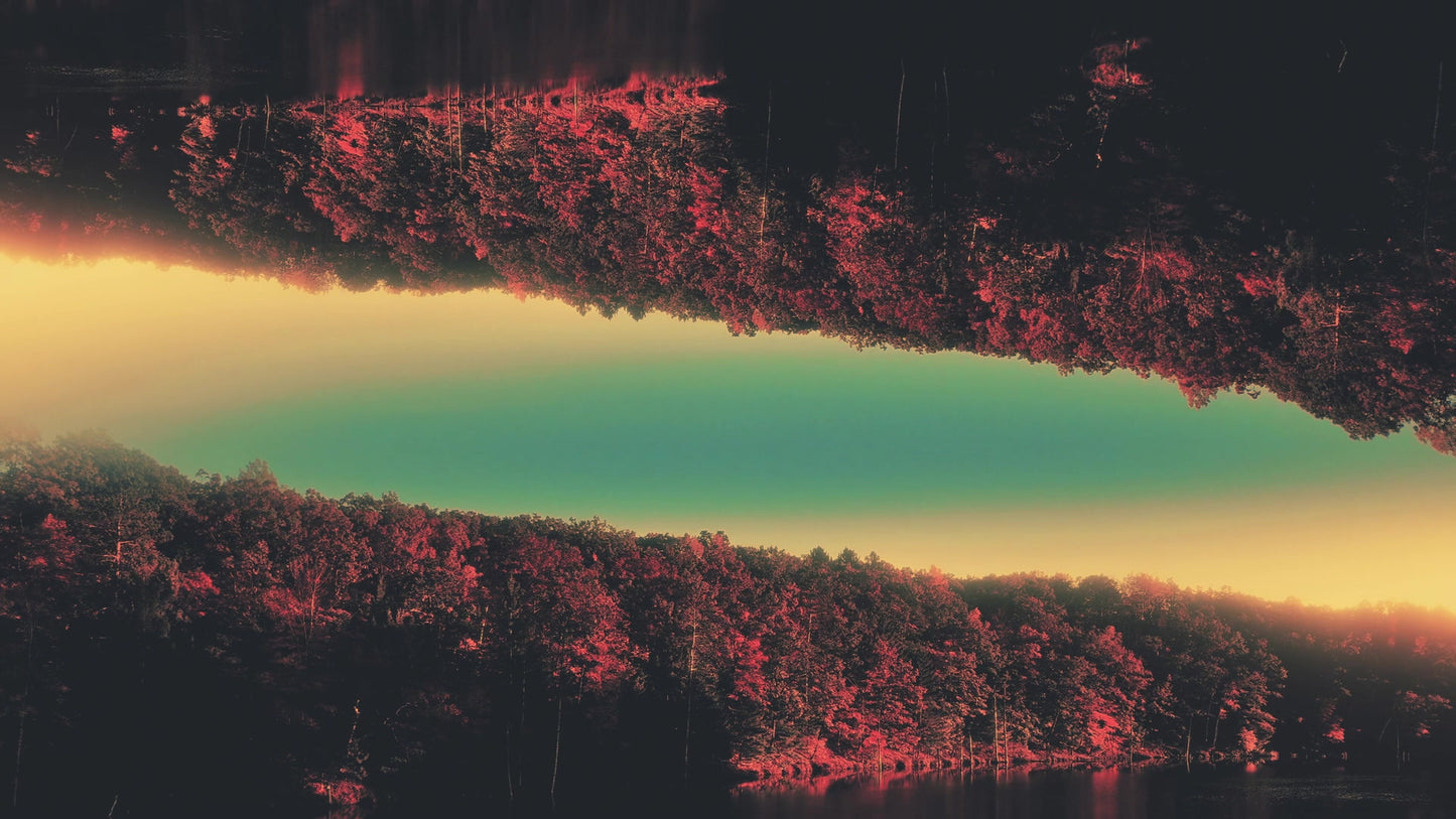Fall Foliage Remixed 12 Motion