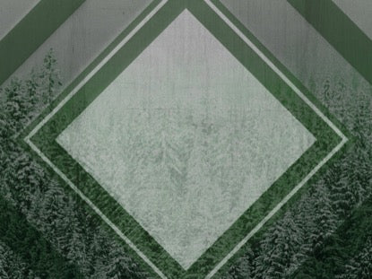 Winter Trails Green Motion