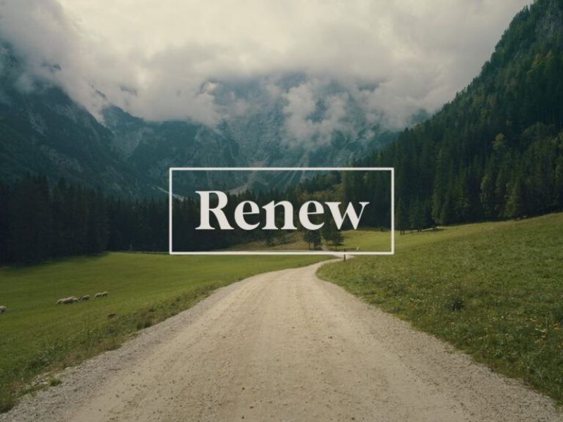 Renew