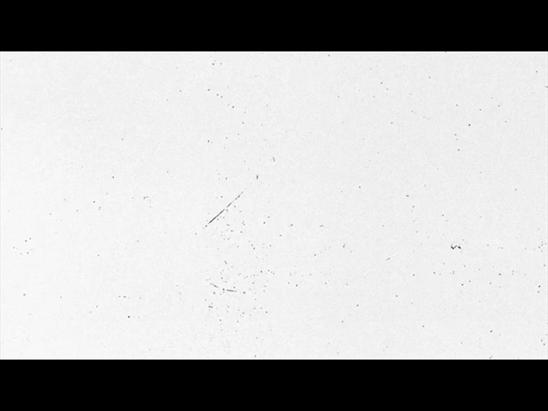 Easter Xxv Motion Background 14