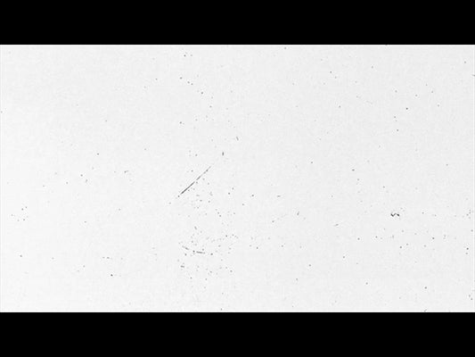 Easter Xxv Motion Background 14