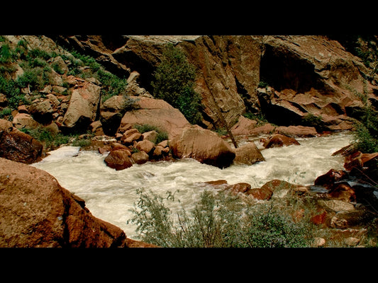 El Dorado Motion 11