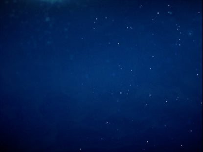 Calm And Bright Motion 1