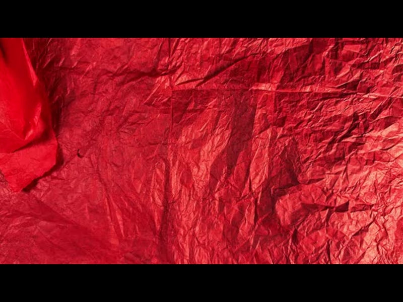 Christmas Stop Motion 8