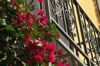 Springtime 20