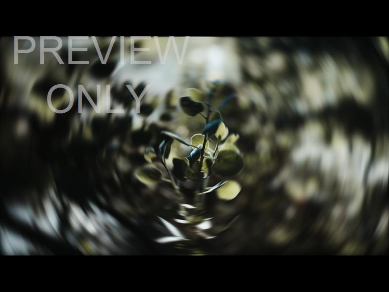 Radial  3 Still