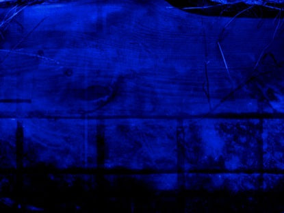 Christmas 01 Motion 05