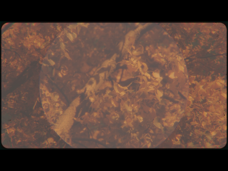 Vintage Fall Loop 02