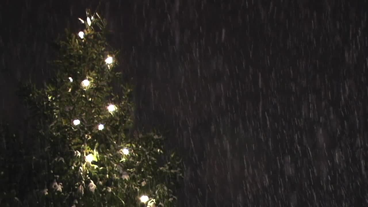 Christmas Tree Snow