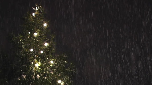 Christmas Tree Snow