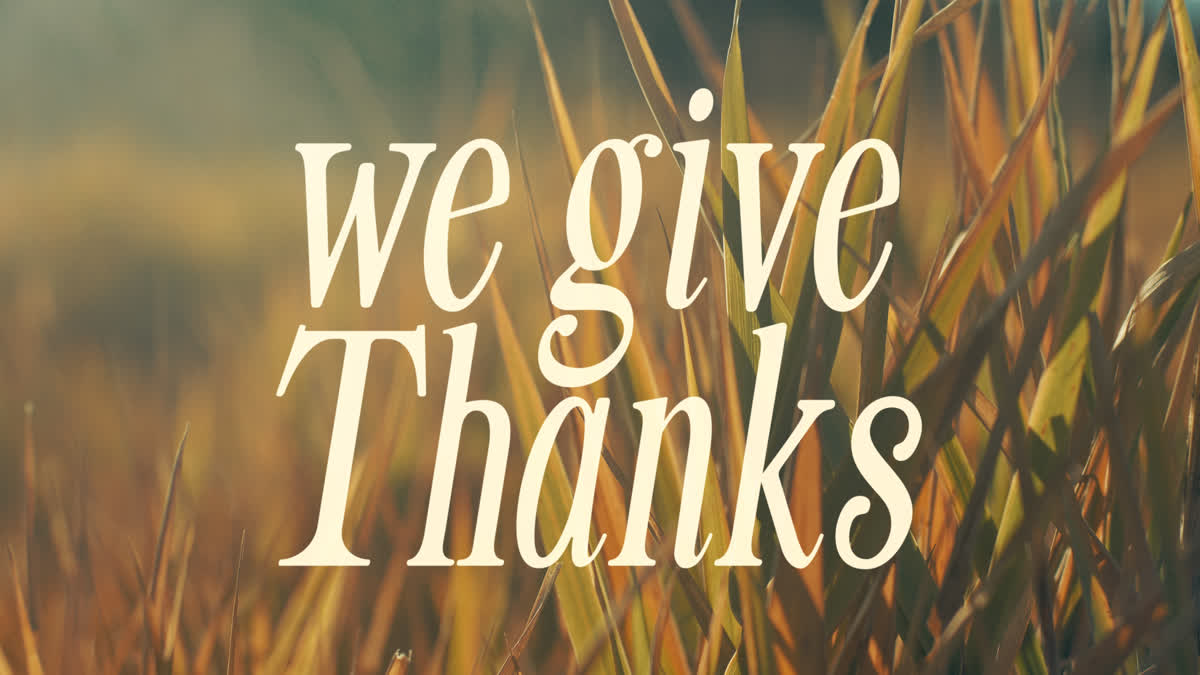 The Grass Still We Give Thanks