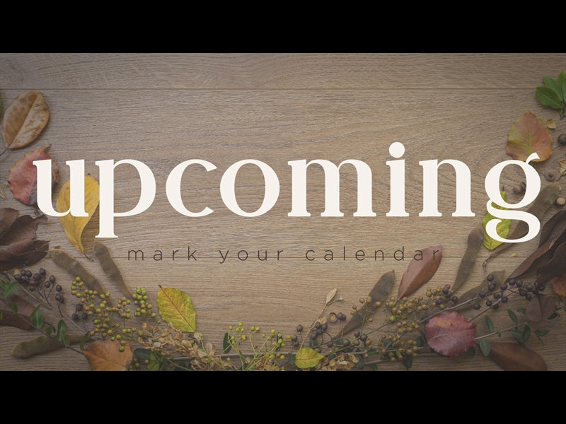 Abundance Upcoming