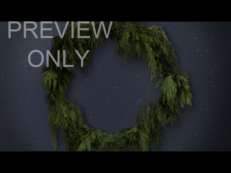 Garland Still 04