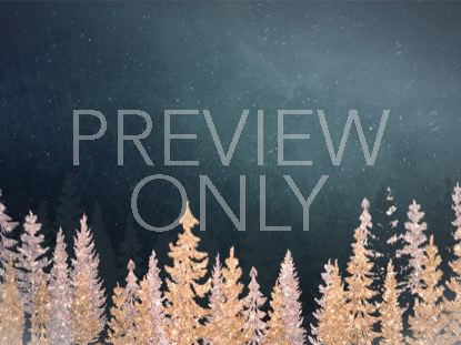 Christmas Sparkle 9 Still