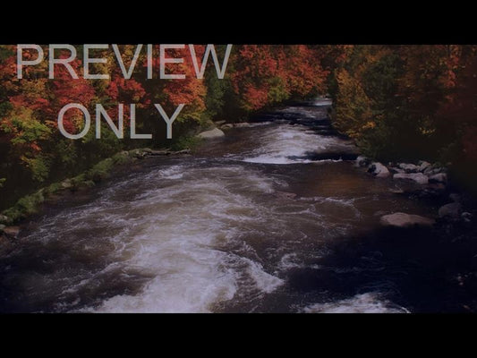 Northwest Fall 5 Still