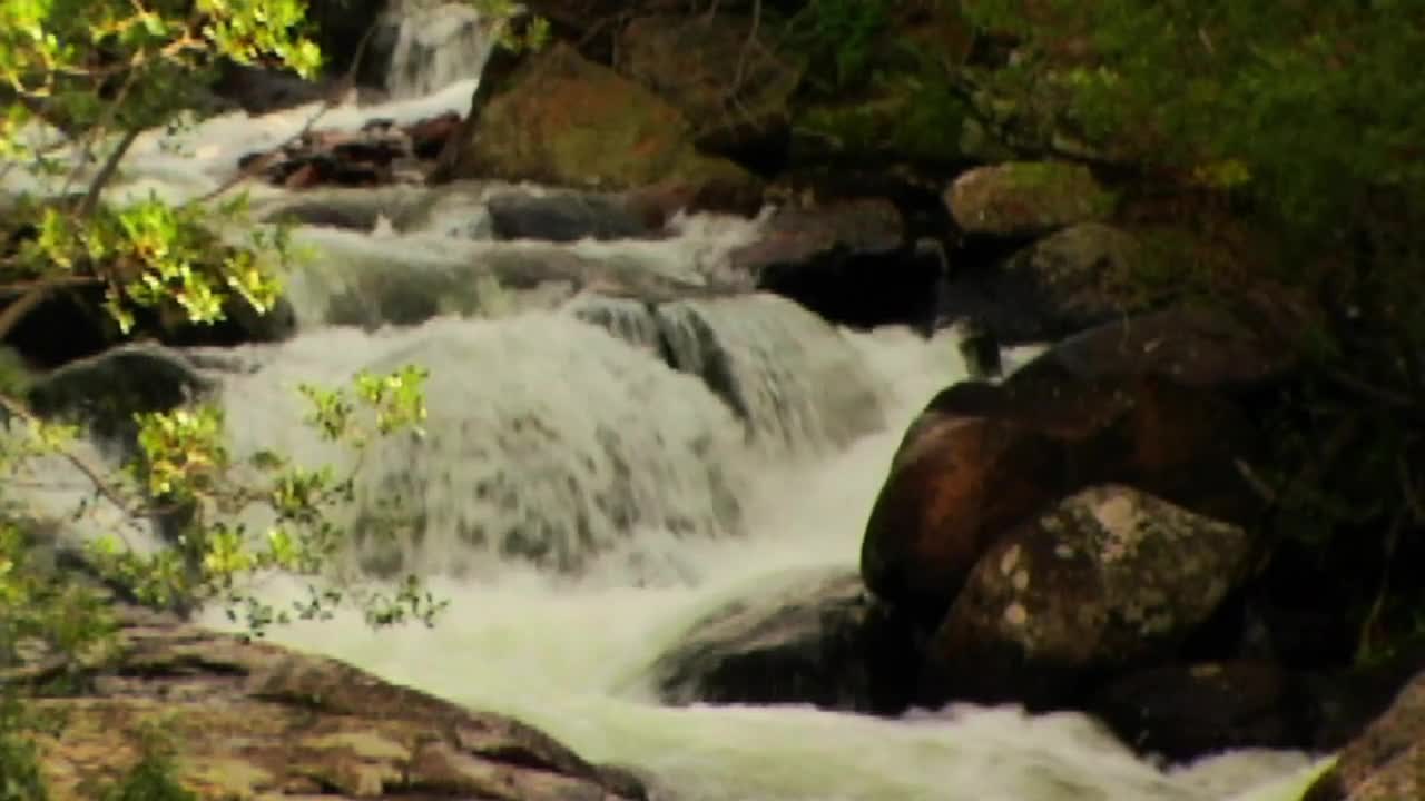 Autumn Stream