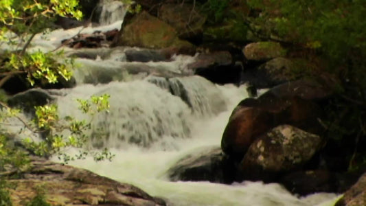 Autumn Stream
