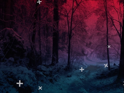 Blue Pink Winter Forest Path Crosses