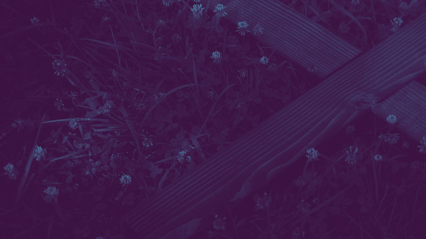 Nature Cross 4 Duotone