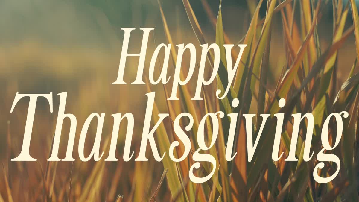 The Grass Thanksgiving 1