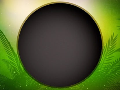 Palm Sunday Vol 2 Blank Title