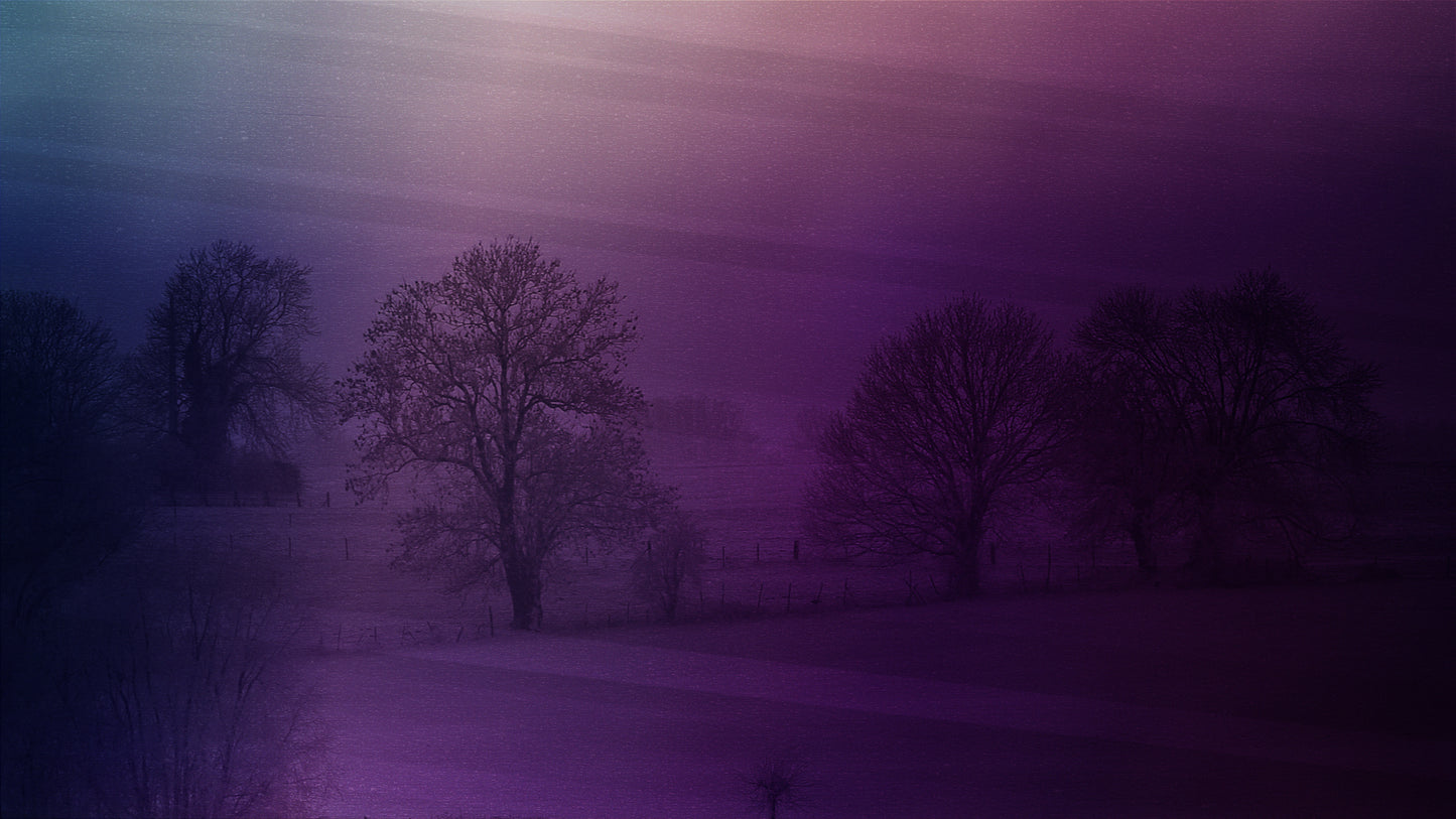 Autumn Mist 7 Still