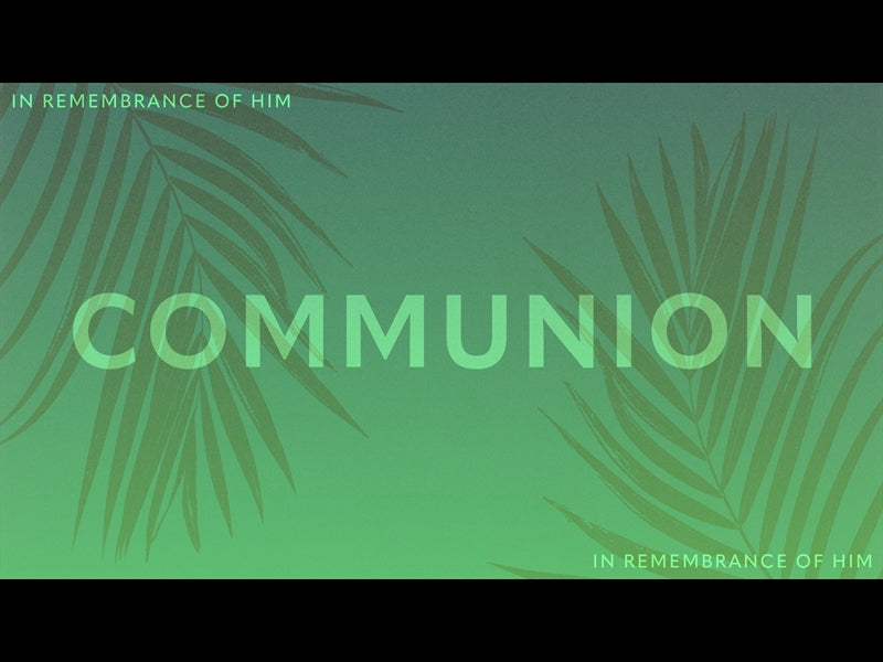 Risen Palms Communion
