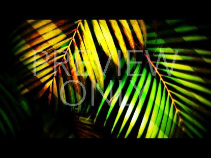 Palm Sunday Motion Still
